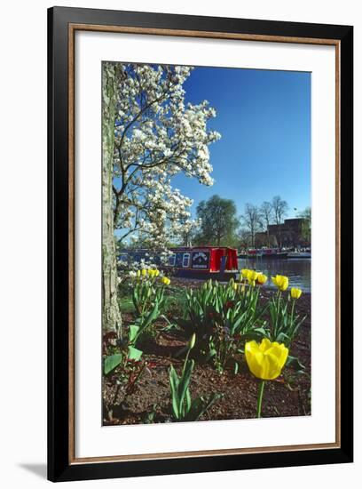 Stratford Spring Flowers-Charles Bowman-Framed Photographic Print