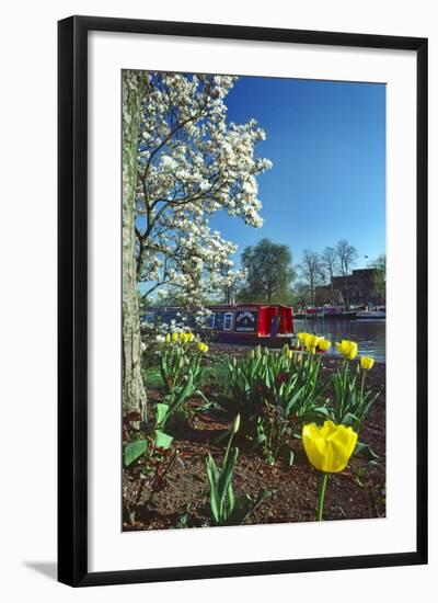 Stratford Spring Flowers-Charles Bowman-Framed Photographic Print