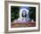 Strauss Monument in Stadt Park, Vienna, Austria, Europe-Gavin Hellier-Framed Photographic Print