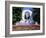 Strauss Monument in Stadt Park, Vienna, Austria, Europe-Gavin Hellier-Framed Photographic Print