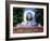 Strauss Monument in Stadt Park, Vienna, Austria, Europe-Gavin Hellier-Framed Photographic Print