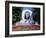 Strauss Monument in Stadt Park, Vienna, Austria, Europe-Gavin Hellier-Framed Photographic Print