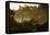 Straw-Coloured Fruit Bats (Eidolon Helvum) Returning To Daytime Roost At Sunrise-Nick Garbutt-Framed Premier Image Canvas