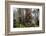 Straw-Coloured Fruit Bats (Eidolon Helvum) Returning To Daytime Roost At Sunrise-Nick Garbutt-Framed Photographic Print