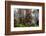 Straw-Coloured Fruit Bats (Eidolon Helvum) Returning To Daytime Roost At Sunrise-Nick Garbutt-Framed Photographic Print