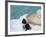 Straw Hat and Sunglasses on Towel, North Male Atoll, Maldives, Indian Ocean-Sergio Pitamitz-Framed Photographic Print