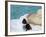 Straw Hat and Sunglasses on Towel, North Male Atoll, Maldives, Indian Ocean-Sergio Pitamitz-Framed Photographic Print