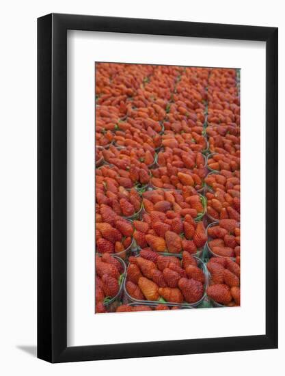 Strawberries at outdoor market, Honfleur, Normandy, France-Lisa S. Engelbrecht-Framed Photographic Print