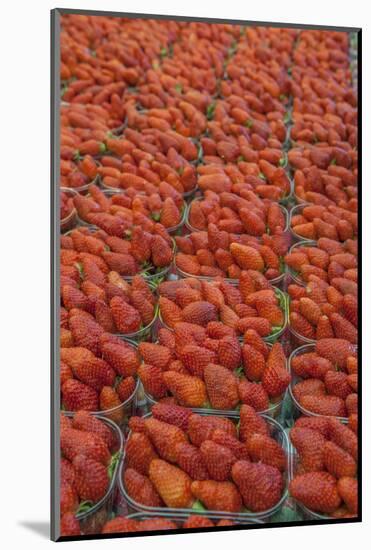 Strawberries at outdoor market, Honfleur, Normandy, France-Lisa S. Engelbrecht-Mounted Photographic Print