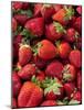 Strawberries for Sale at Sunday Morning Market, Pollenca, Tramuntana, Mallorca, Spain-Andrew Stewart-Mounted Photographic Print