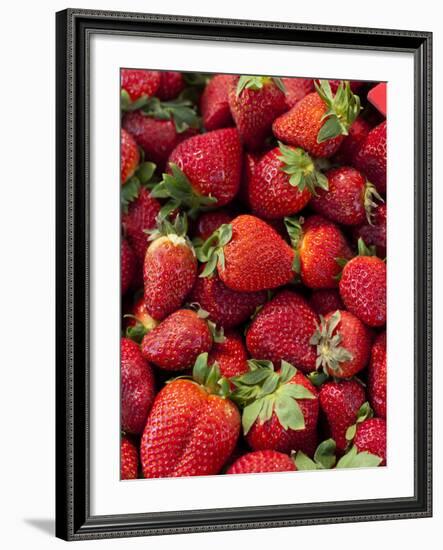 Strawberries for Sale at Sunday Morning Market, Pollenca, Tramuntana, Mallorca, Spain-Andrew Stewart-Framed Photographic Print