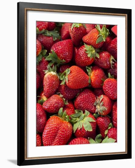 Strawberries for Sale at Sunday Morning Market, Pollenca, Tramuntana, Mallorca, Spain-Andrew Stewart-Framed Photographic Print