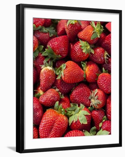 Strawberries for Sale at Sunday Morning Market, Pollenca, Tramuntana, Mallorca, Spain-Andrew Stewart-Framed Photographic Print