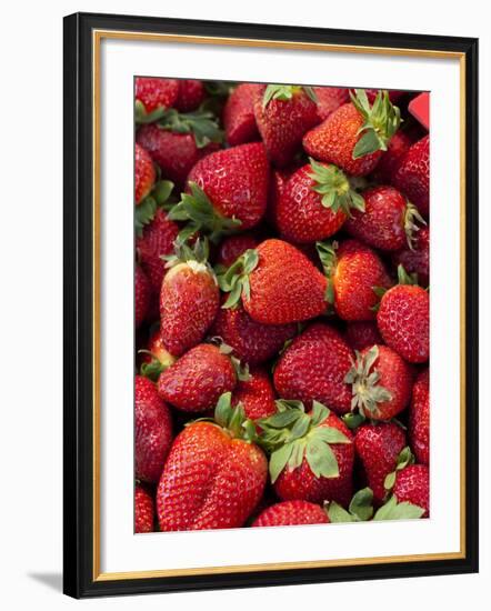 Strawberries for Sale at Sunday Morning Market, Pollenca, Tramuntana, Mallorca, Spain-Andrew Stewart-Framed Photographic Print