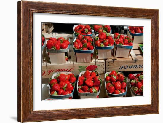 Strawberries for Sale at Weekly Market, Arles, Bouches-Du-Rhone, Provence-Alpes-Cote D'Azur, France-null-Framed Photographic Print