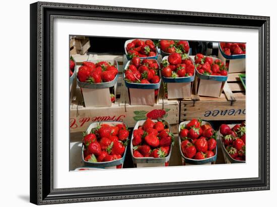 Strawberries for Sale at Weekly Market, Arles, Bouches-Du-Rhone, Provence-Alpes-Cote D'Azur, France-null-Framed Photographic Print