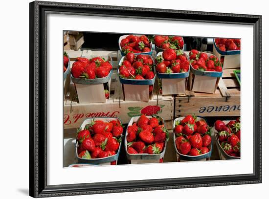 Strawberries for Sale at Weekly Market, Arles, Bouches-Du-Rhone, Provence-Alpes-Cote D'Azur, France-null-Framed Photographic Print