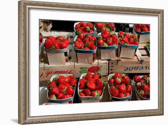 Strawberries for Sale at Weekly Market, Arles, Bouches-Du-Rhone, Provence-Alpes-Cote D'Azur, France-null-Framed Photographic Print