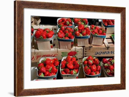 Strawberries for Sale at Weekly Market, Arles, Bouches-Du-Rhone, Provence-Alpes-Cote D'Azur, France-null-Framed Photographic Print