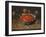 Strawberries in a Bowl, about 1630-Jacob Van Hulsdonck-Framed Giclee Print