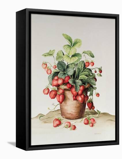 Strawberries in a Pot, 1998-Amelia Kleiser-Framed Premier Image Canvas