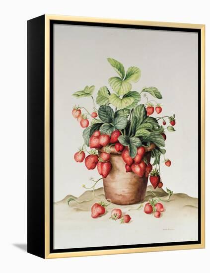 Strawberries in a Pot, 1998-Amelia Kleiser-Framed Premier Image Canvas