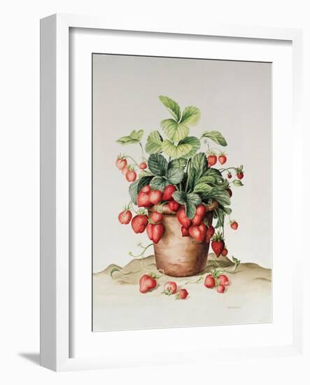 Strawberries in a Pot, 1998-Amelia Kleiser-Framed Giclee Print