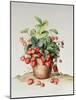 Strawberries in a Pot, 1998-Amelia Kleiser-Mounted Giclee Print