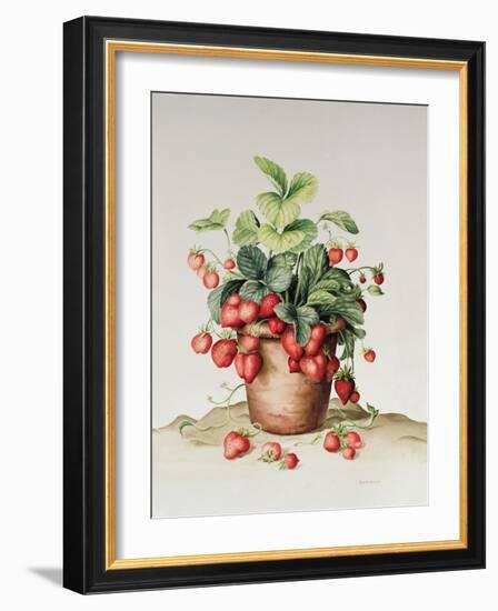 Strawberries in a Pot, 1998-Amelia Kleiser-Framed Giclee Print