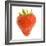 Strawberries Single in Studio-null-Framed Photographic Print