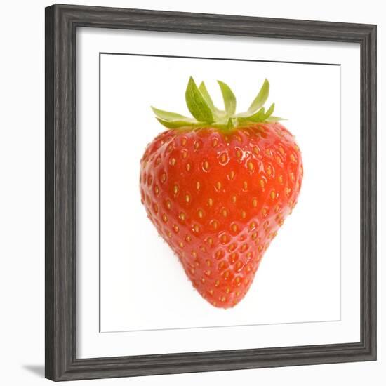 Strawberries Single in Studio-null-Framed Photographic Print