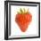 Strawberries Single in Studio-null-Framed Photographic Print