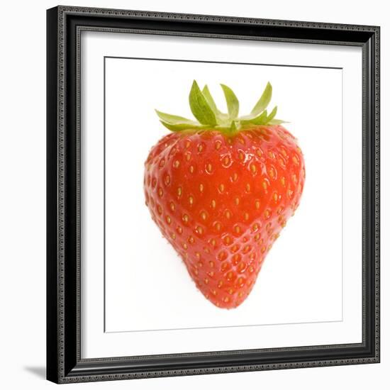 Strawberries Single in Studio-null-Framed Photographic Print