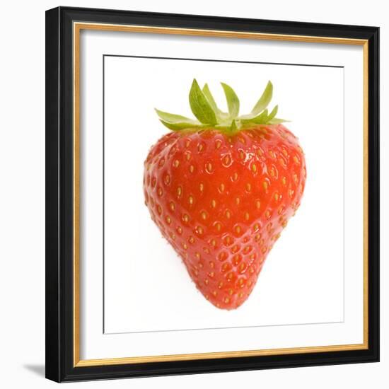 Strawberries Single in Studio-null-Framed Photographic Print