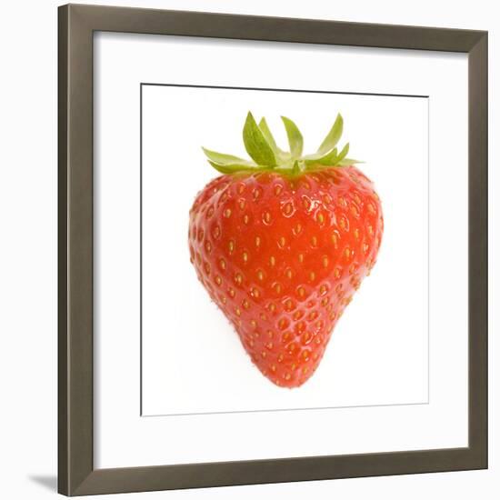 Strawberries Single in Studio-null-Framed Photographic Print