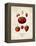 Strawberries-null-Framed Stretched Canvas