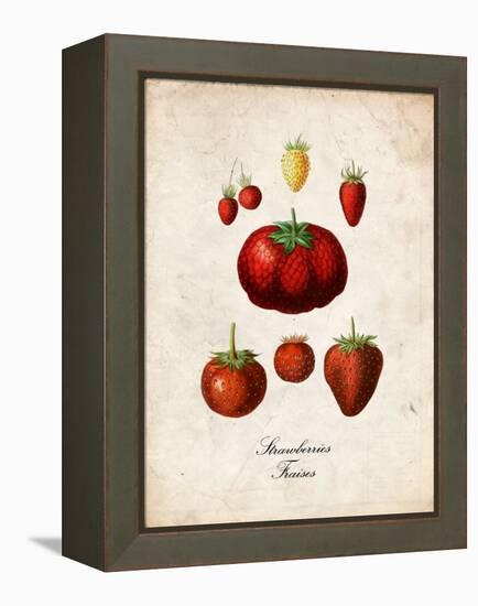 Strawberries-null-Framed Stretched Canvas