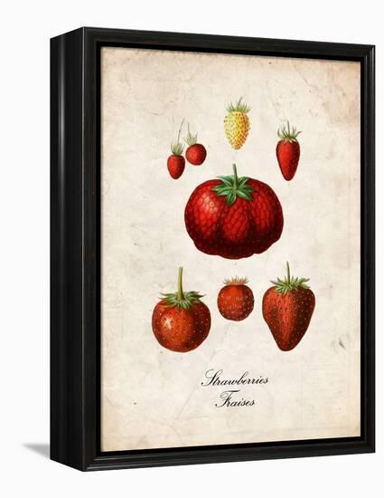 Strawberries-null-Framed Stretched Canvas