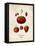 Strawberries-null-Framed Stretched Canvas