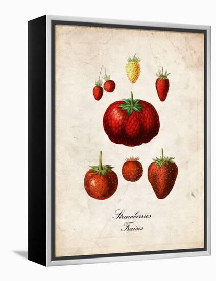 Strawberries-null-Framed Stretched Canvas