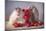 Strawberries-Ellen Van Deelen-Mounted Photographic Print