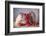 Strawberries-Ellen Van Deelen-Framed Photographic Print