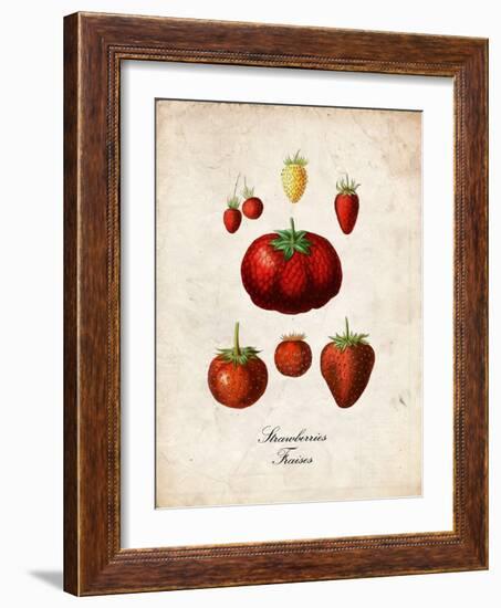 Strawberries-null-Framed Premium Giclee Print