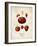 Strawberries-null-Framed Art Print