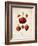 Strawberries-null-Framed Art Print