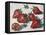 Strawberries-Tilly Willis-Framed Premier Image Canvas