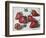 Strawberries-Tilly Willis-Framed Giclee Print
