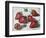 Strawberries-Tilly Willis-Framed Giclee Print