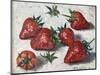 Strawberries-Tilly Willis-Mounted Giclee Print