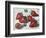 Strawberries-Tilly Willis-Framed Giclee Print